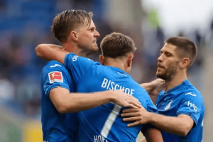 德甲 云达不来梅VS霍芬海姆