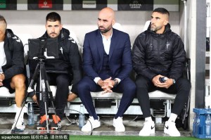 周雨千里奔赴德国，直播德甲见证樊振东拼搏的兄弟情深