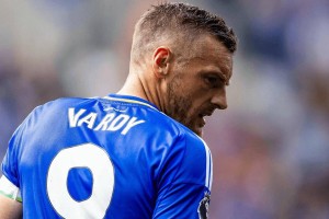 瓦尔迪：领衔克雷莫内塞冲击意甲