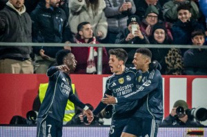 皇家马德里 vs 塞尔塔：西甲第15轮前瞻