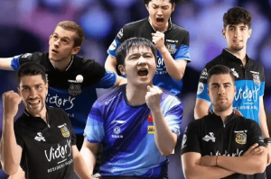 樊振东登陆德甲：一张海报背后的乒乓新时代