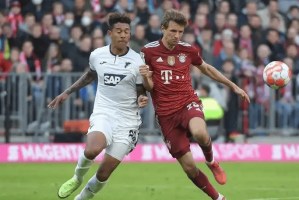 周日019 德甲重头戏：拜仁主场破局止颓，霍芬海姆客场掀反击风暴