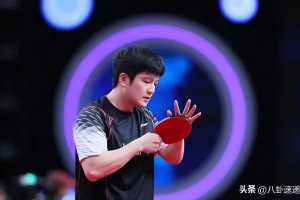 是金子总会发光,远赴德甲仅3个月,樊振东入选先进个人,太争气了