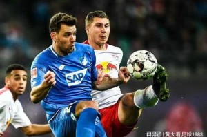 德甲 霍芬海姆VS法兰克福专家最新比分预测! 德甲 霍芬海姆VS法兰克福专家最新比分预测!