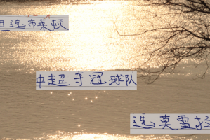 要夺冠！还要选对优质供货商才行 切尔西选布莱顿 海港选择莫雷拉