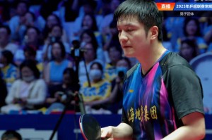 樊振东12连胜,无人能敌!德甲前一战不败,王楚钦非对手 樊振东12连胜,无人能敌!德甲前一战不败,王楚钦非对手