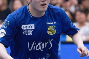 樊振东立功！德甲升至第三，距榜首仅差2分