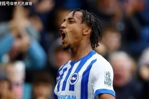 蓝军专挖海鸥?5000万英镑买入新中锋,三年在布莱顿这花了三亿欧 蓝军专挖海鸥?5000万英镑买入新中锋,三年在布莱顿这花了三亿欧