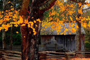 西甲毕尔巴鄂竞技与尼科・威廉姆斯续约至2035年 西甲毕尔巴鄂竞技与尼科・威廉姆斯续约至2035年