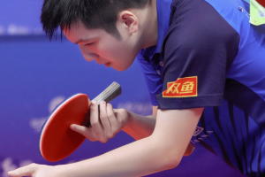 德甲暂停,火速回国!樊振东回归备战 德甲暂停,火速回国!樊振东回归备战