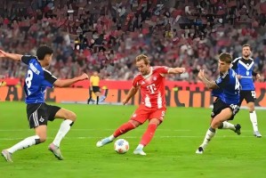 德甲 ：拜仁慕尼黑VS云达不来梅比赛分析