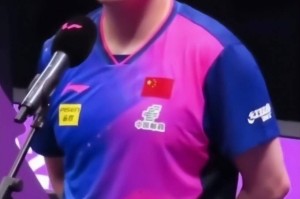 德甲两连败仅过两个月，人民日报官宣樊振东喜讯，让多少黑粉脸红