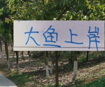 去年中超前5大鱼都上岸 北京国安是德甲大货 海港是本土标王