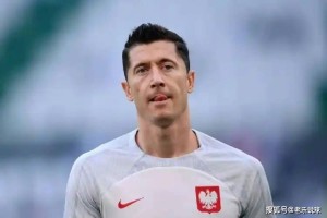 客观分析，莱万接班人确实在西甲联赛，比哈兰德更加适合