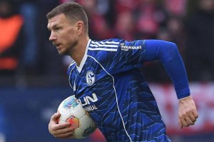 哲科老骥伏枥再展锋芒，与C罗同样自律，沙尔克04捡到宝，力争重返德甲！