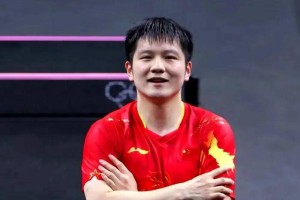 樊振东德甲薪资曝光引争议，球迷言论浮出水面