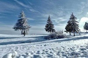 欧联杯决赛或成曼联赛季转折点